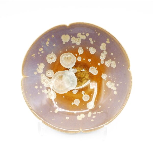 Dish
