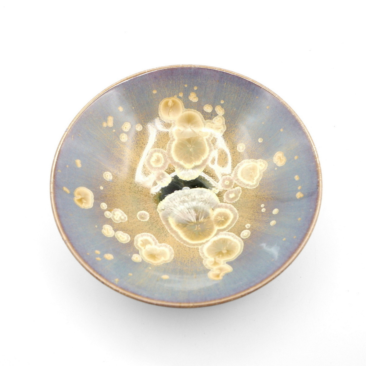 Dish