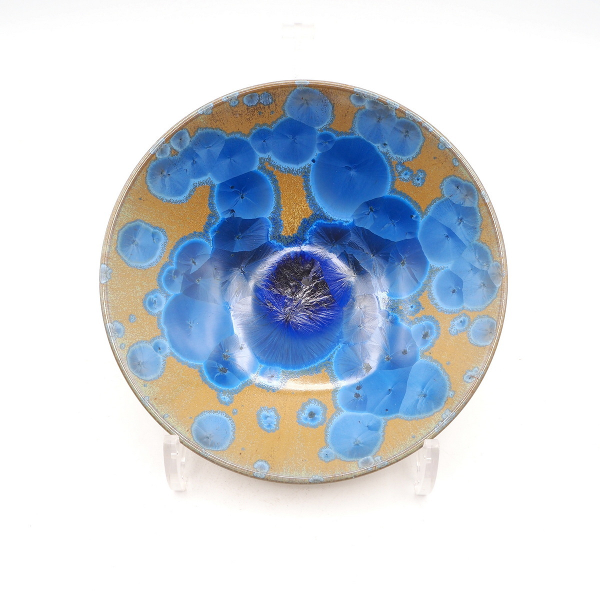 Dish